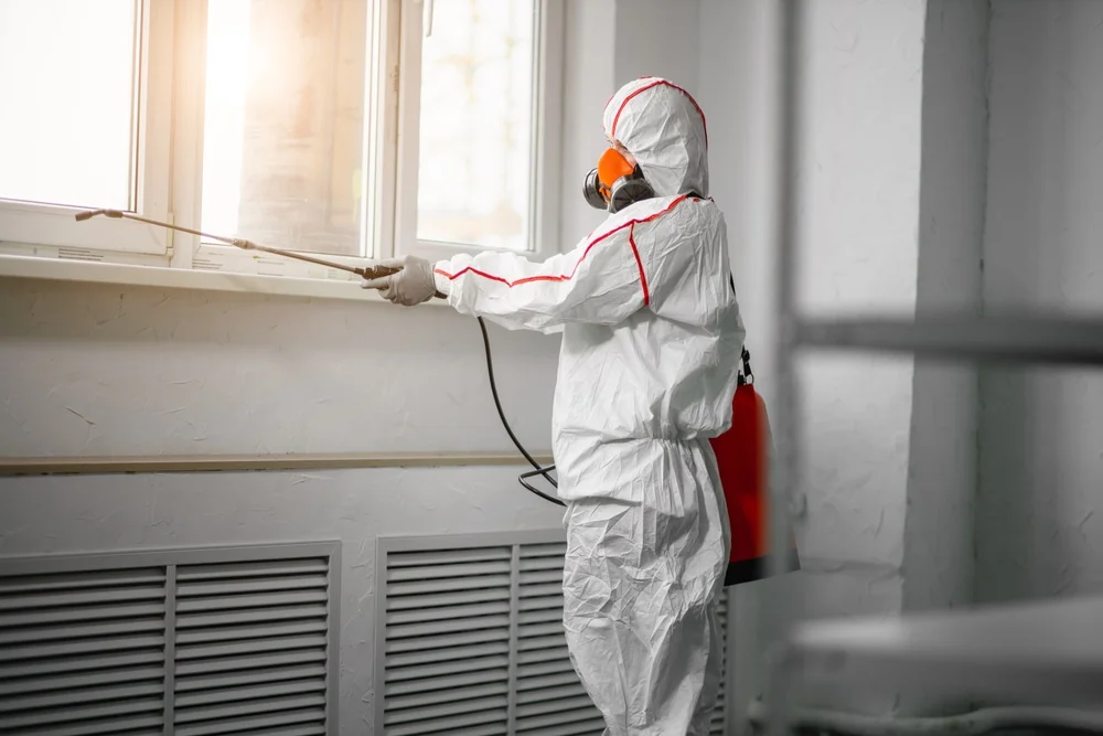 Professional mold remediation services in Kenedy, TX